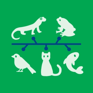 Classification des vertébrés