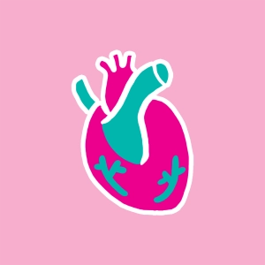 Anatomie du coeur