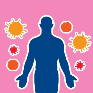 Système immunitaire