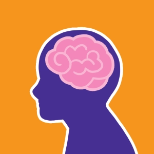 Cerveau humain